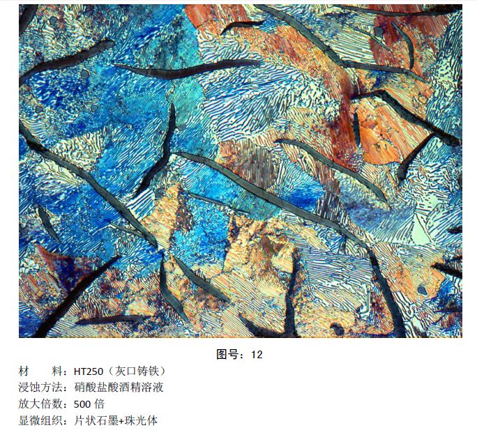 彩色金相圖片 (14).jpg