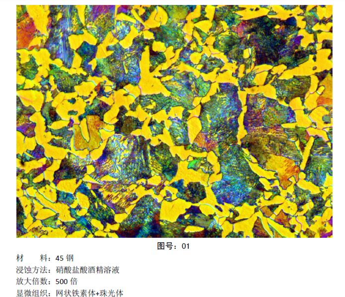 彩色金相圖片 (3).jpg