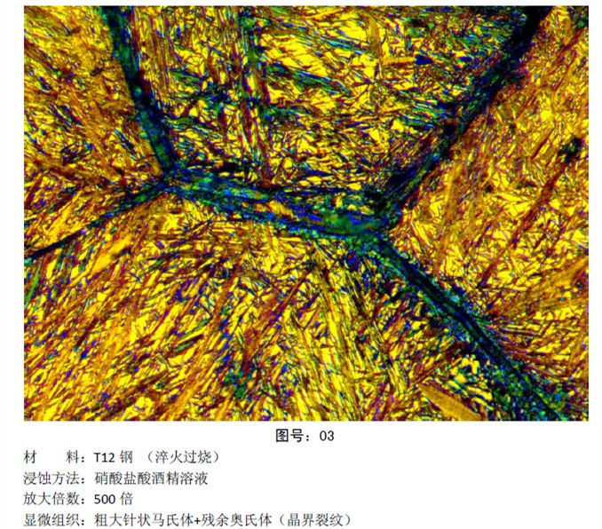 彩色金相圖片 (10).jpg