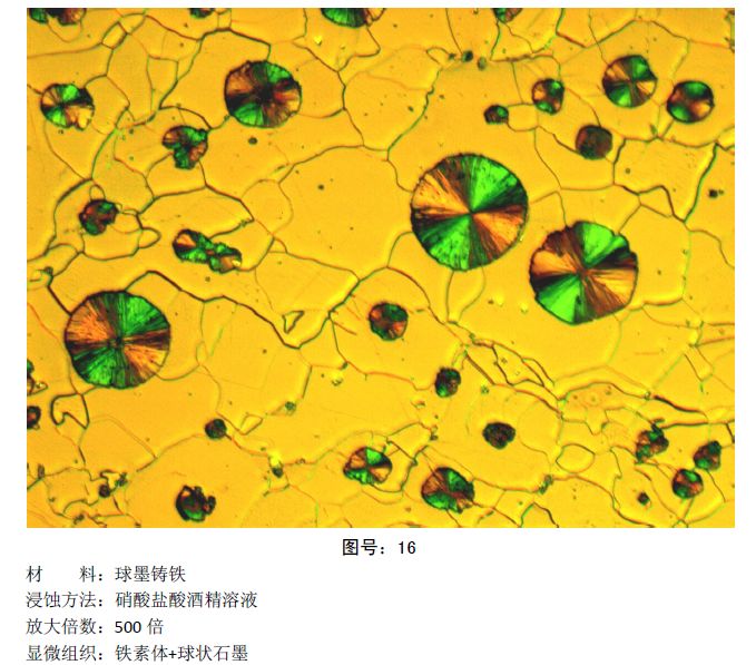 彩色金相圖片 (13).jpg