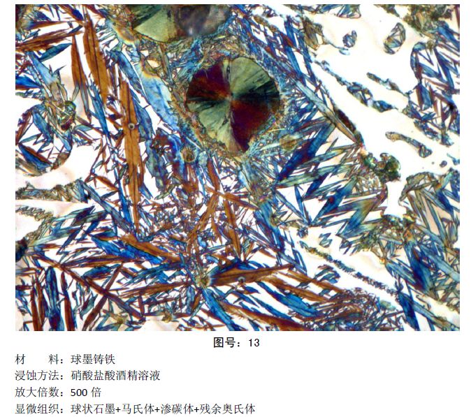 彩色金相圖片 (101).jpg