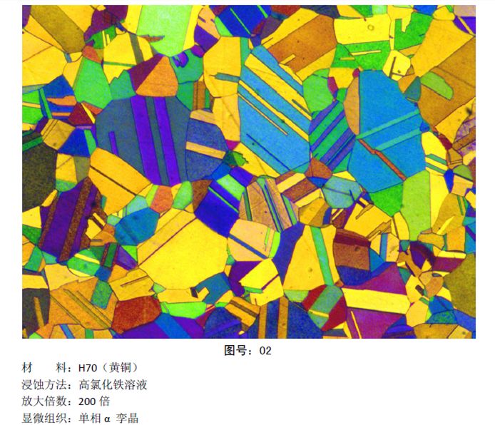 彩色金相圖片 (8).jpg